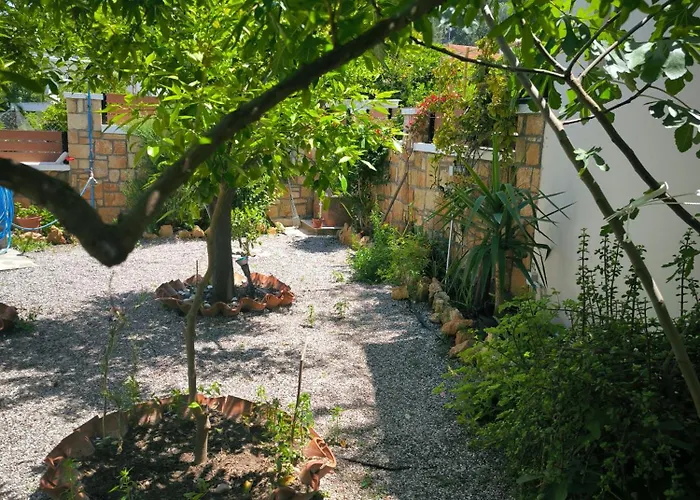 Jimmy, Pilona Village * Vlicha (Rhodes)